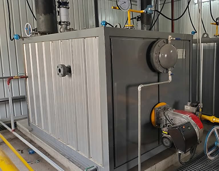 天津市南洋建设集团2台0.5吨真空热水锅炉